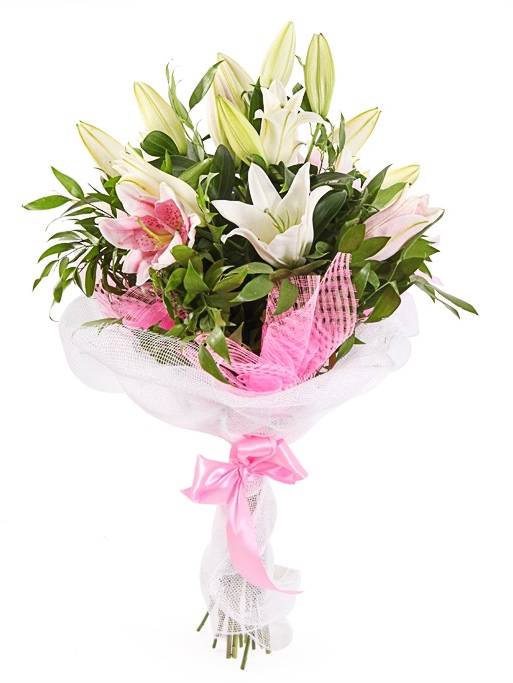 Лилии, зелень Лилии, зелень