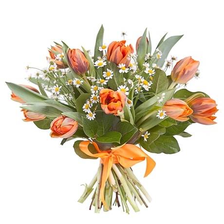 Букет из оранжевых тюльпанов Букет из оранжевых тюльпанов